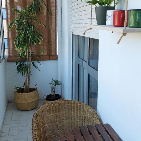 Cedofeita 408, Green 波尔图 外观 照片